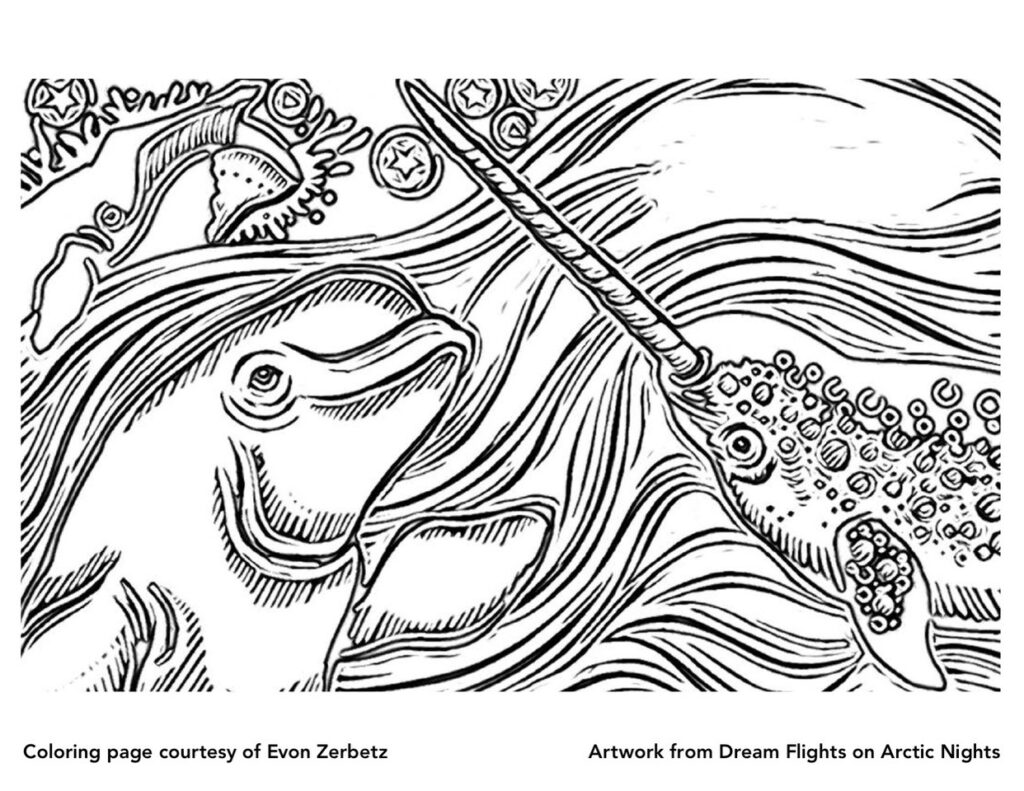 Dream Flights on Arctic Nights Coloring Page Narwhal